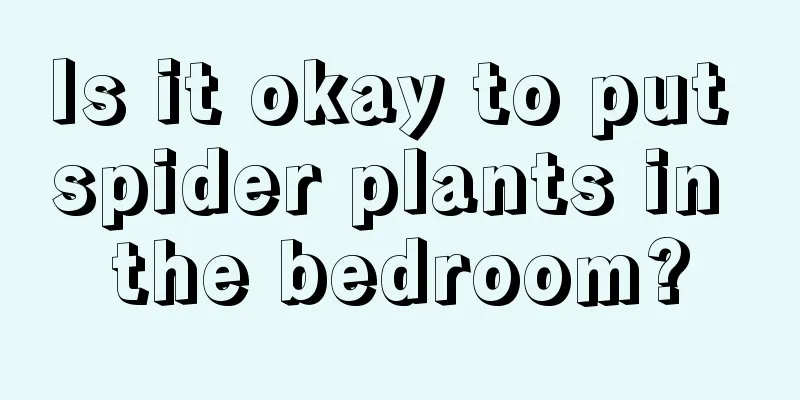 Is it okay to put spider plants in the bedroom?