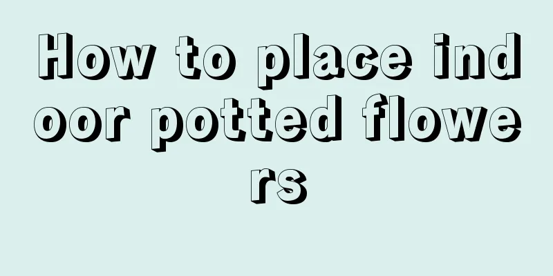 How to place indoor potted flowers