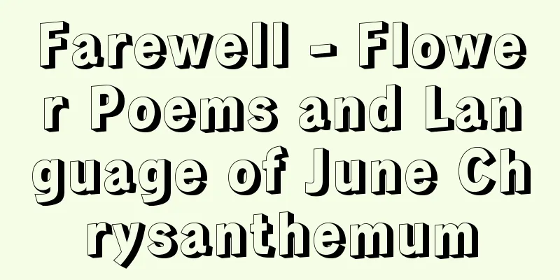 Farewell - Flower Poems and Language of June Chrysanthemum