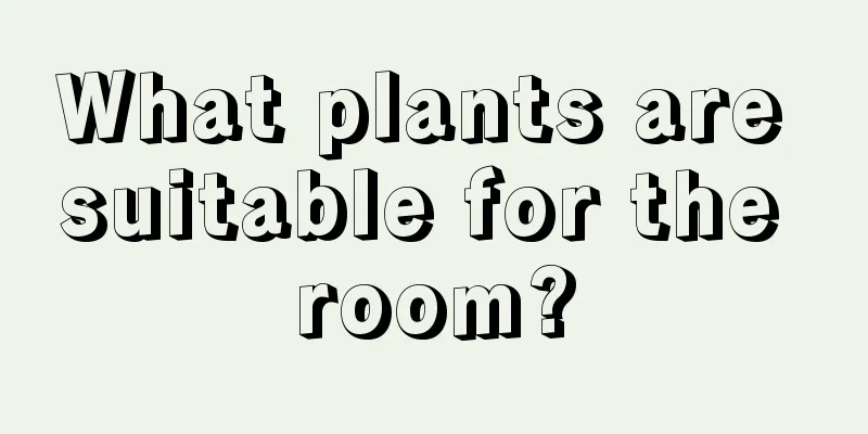 What plants are suitable for the room?