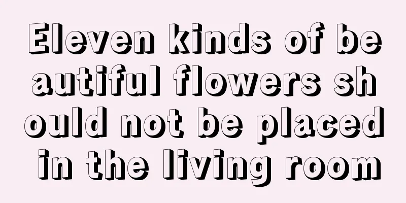 Eleven kinds of beautiful flowers should not be placed in the living room