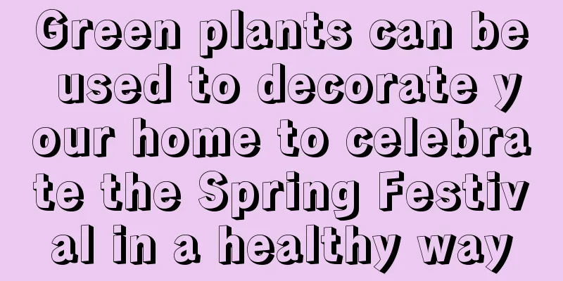 Green plants can be used to decorate your home to celebrate the Spring Festival in a healthy way