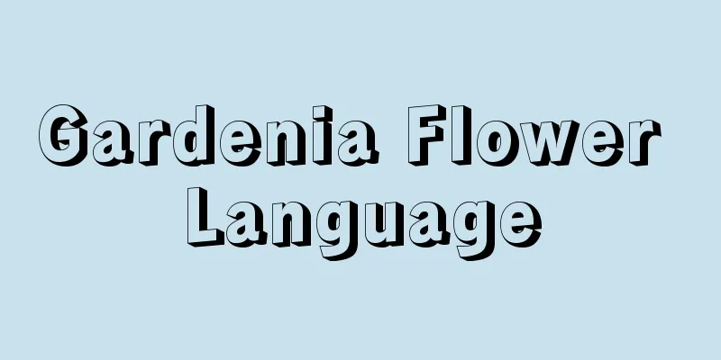 Gardenia Flower Language