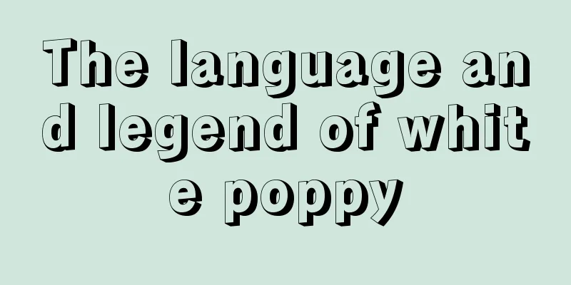 The language and legend of white poppy