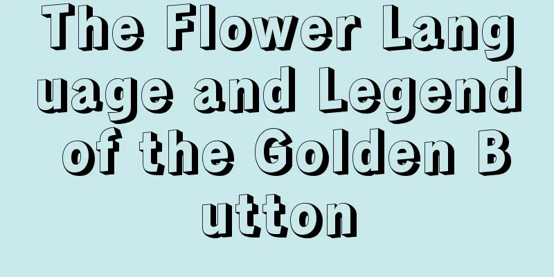 The Flower Language and Legend of the Golden Button