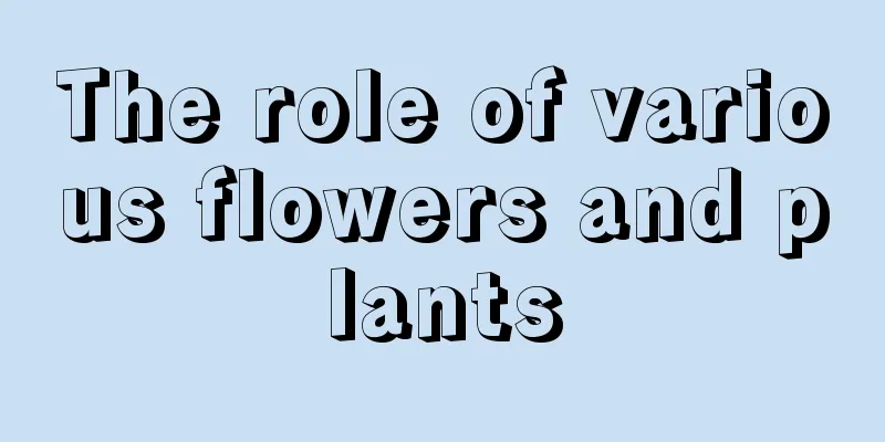 The role of various flowers and plants