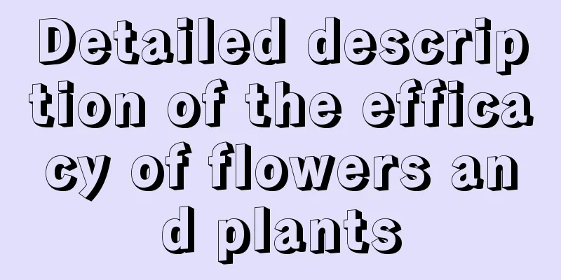 Detailed description of the efficacy of flowers and plants