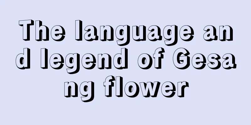 The language and legend of Gesang flower