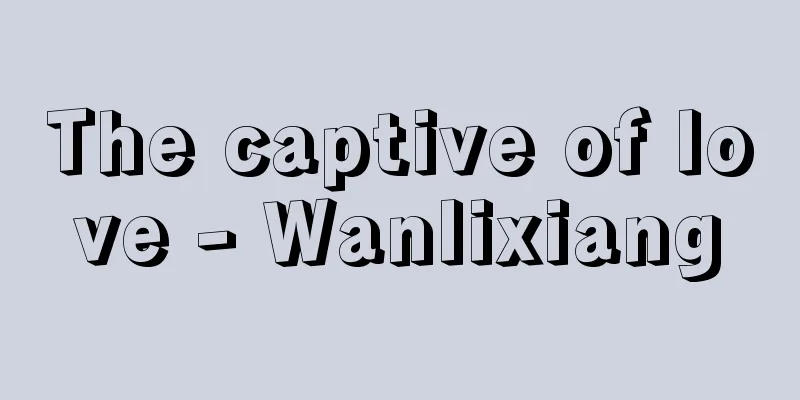 The captive of love - Wanlixiang