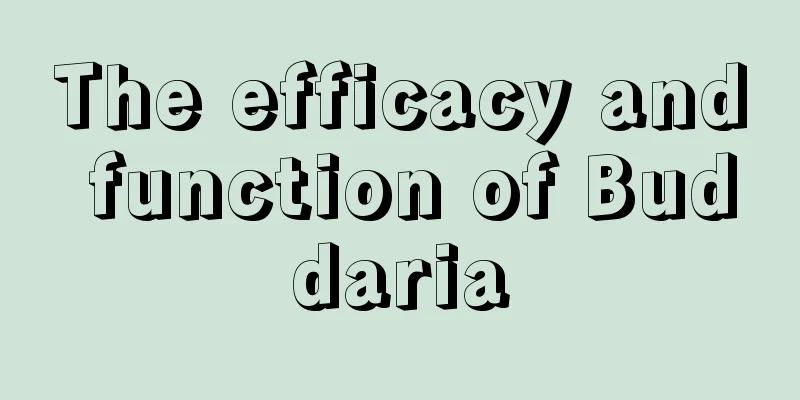 The efficacy and function of Buddaria