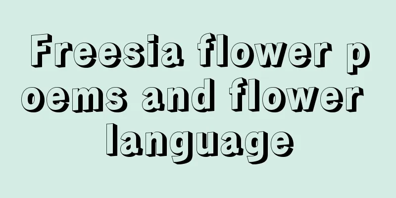 Freesia flower poems and flower language