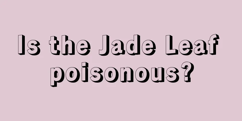 Is the Jade Leaf poisonous?