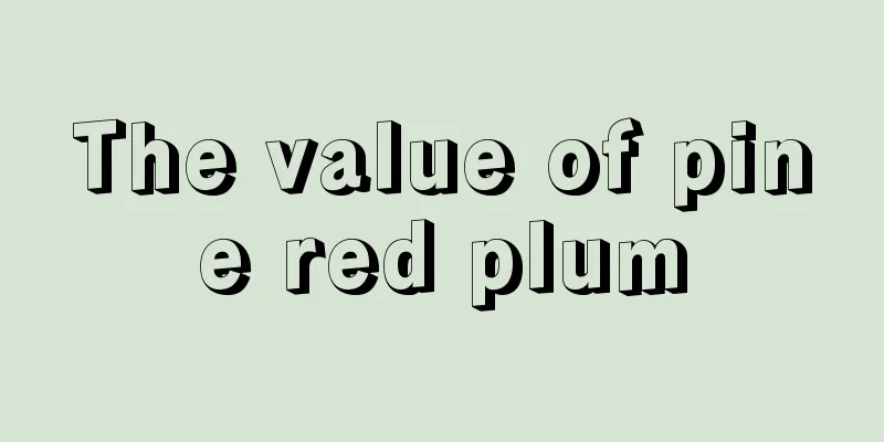 The value of pine red plum