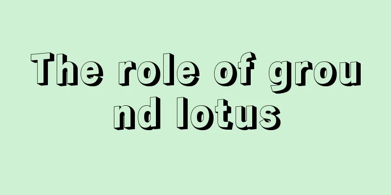 The role of ground lotus