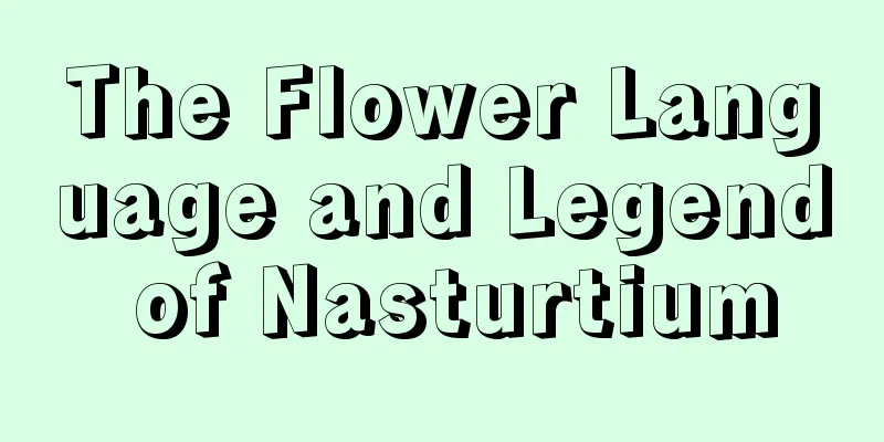 The Flower Language and Legend of Nasturtium