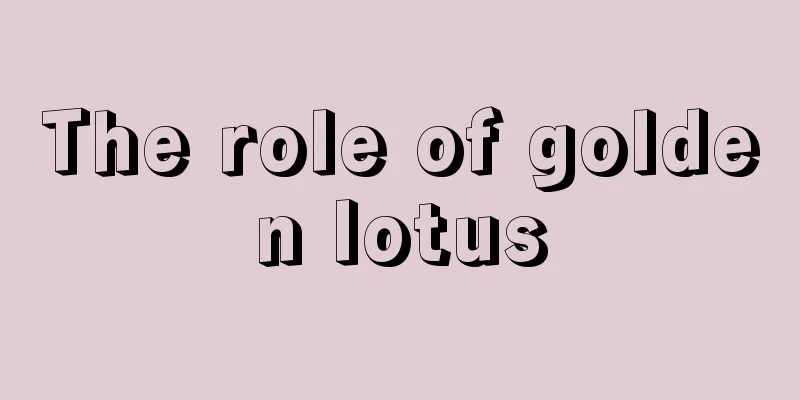 The role of golden lotus