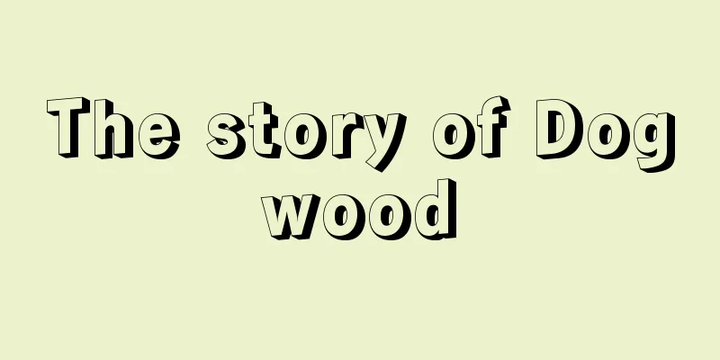 The story of Dogwood