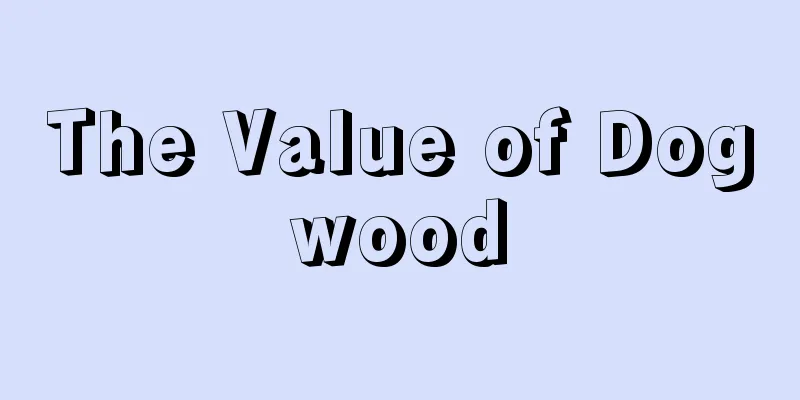 The Value of Dogwood