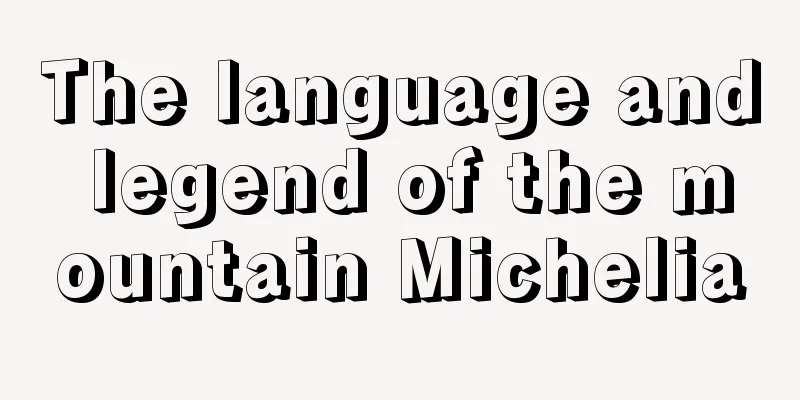 The language and legend of the mountain Michelia