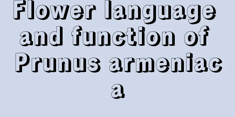 Flower language and function of Prunus armeniaca