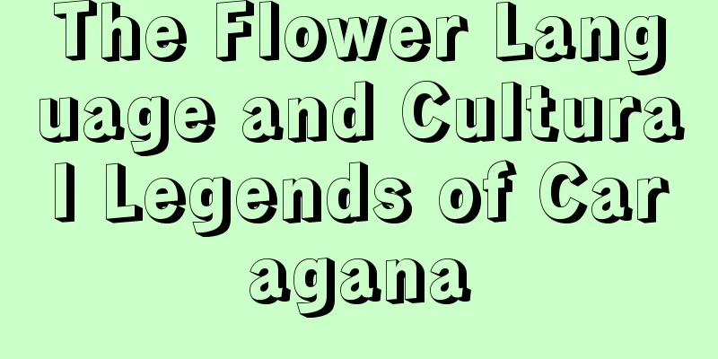 The Flower Language and Cultural Legends of Caragana