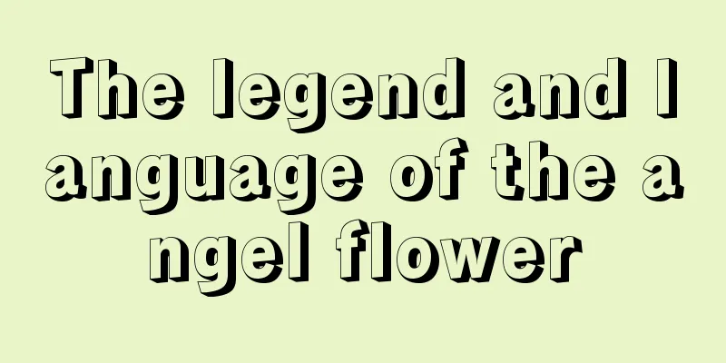 The legend and language of the angel flower