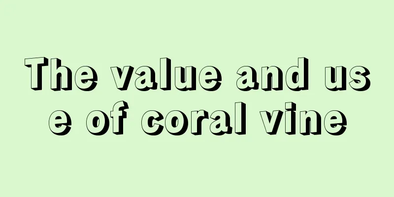 The value and use of coral vine