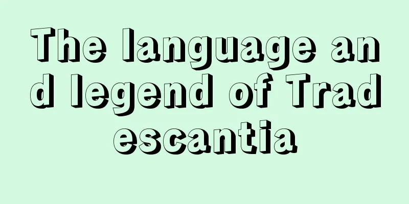 The language and legend of Tradescantia