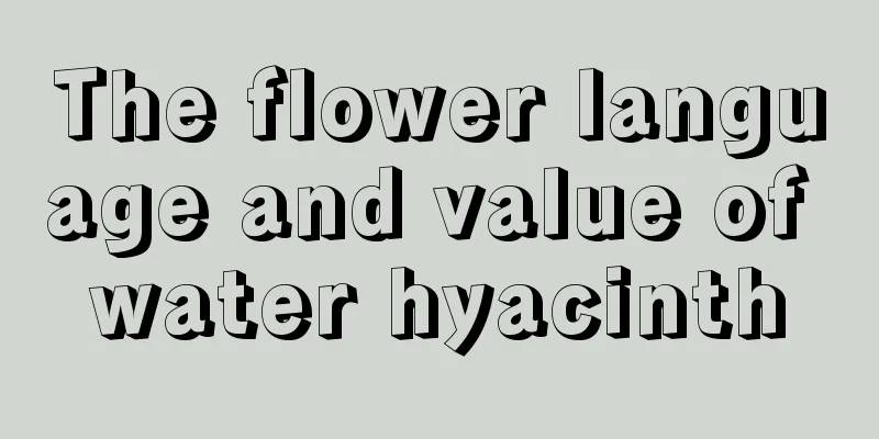 The flower language and value of water hyacinth