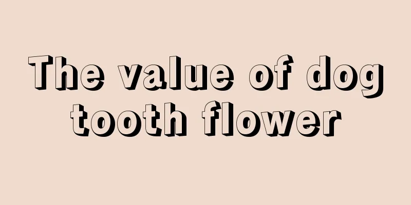 The value of dogtooth flower