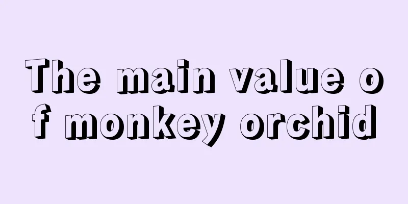 The main value of monkey orchid