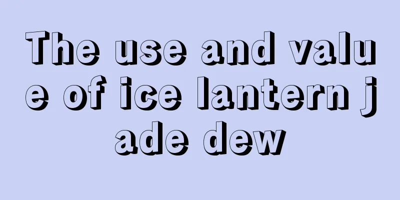 The use and value of ice lantern jade dew