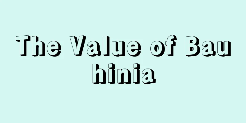 The Value of Bauhinia