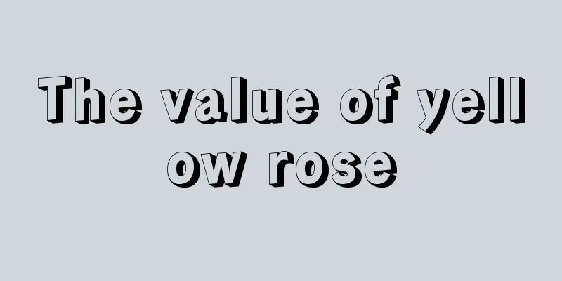 The value of yellow rose