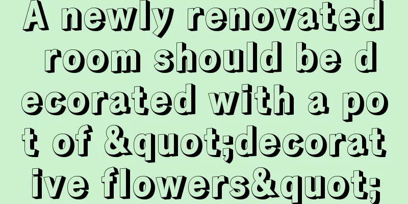 A newly renovated room should be decorated with a pot of "decorative flowers"