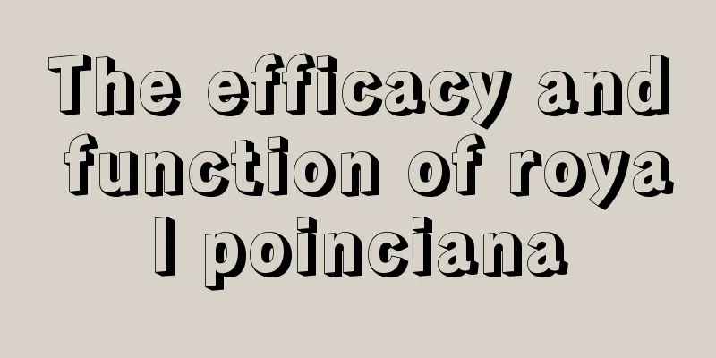 The efficacy and function of royal poinciana