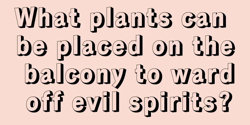 What plants can be placed on the balcony to ward off evil spirits?