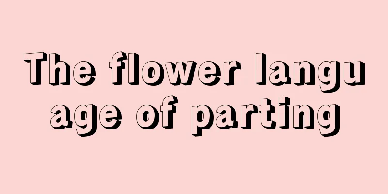 The flower language of parting