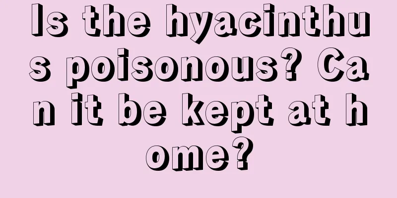 Is the hyacinthus poisonous? Can it be kept at home?