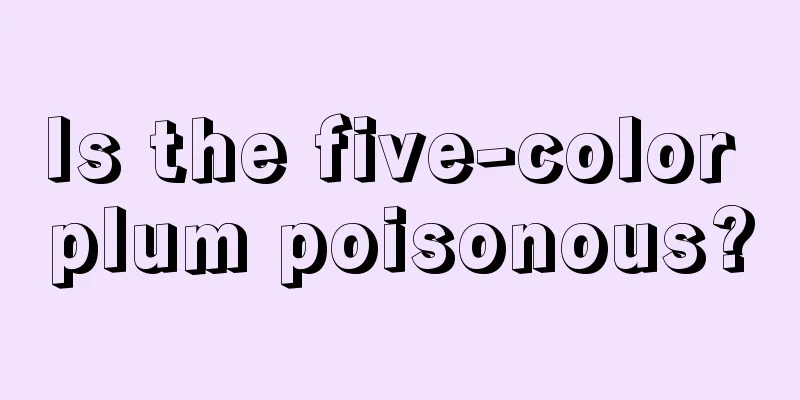 Is the five-color plum poisonous?