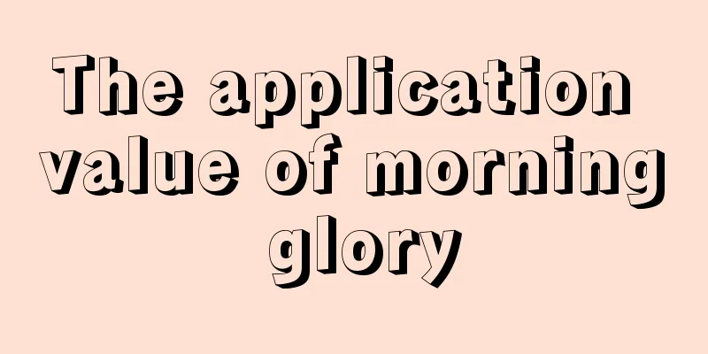 The application value of morning glory