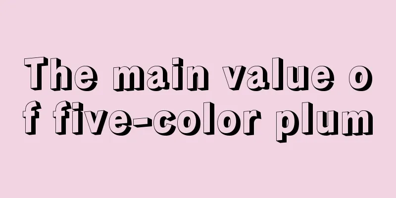 The main value of five-color plum