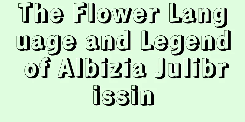 The Flower Language and Legend of Albizia Julibrissin