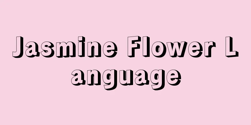 Jasmine Flower Language