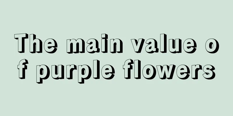 The main value of purple flowers