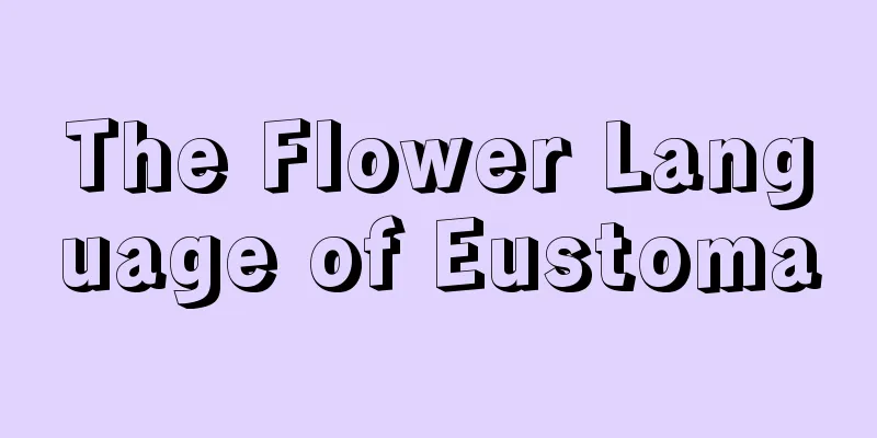 The Flower Language of Eustoma