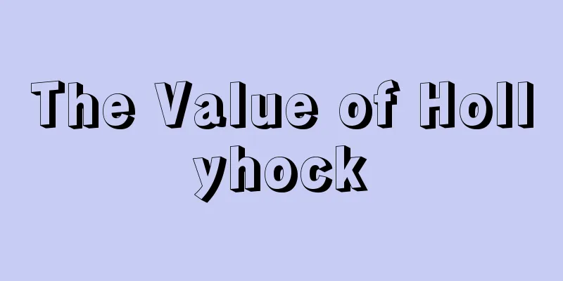 The Value of Hollyhock