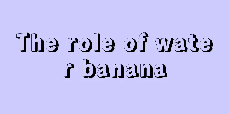 The role of water banana