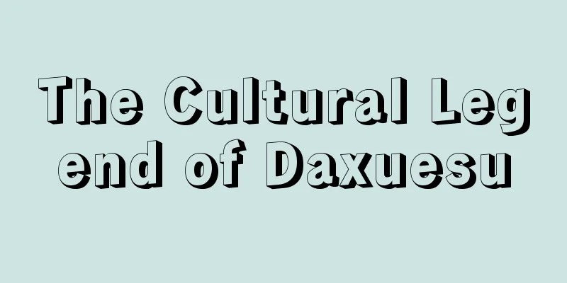 The Cultural Legend of Daxuesu