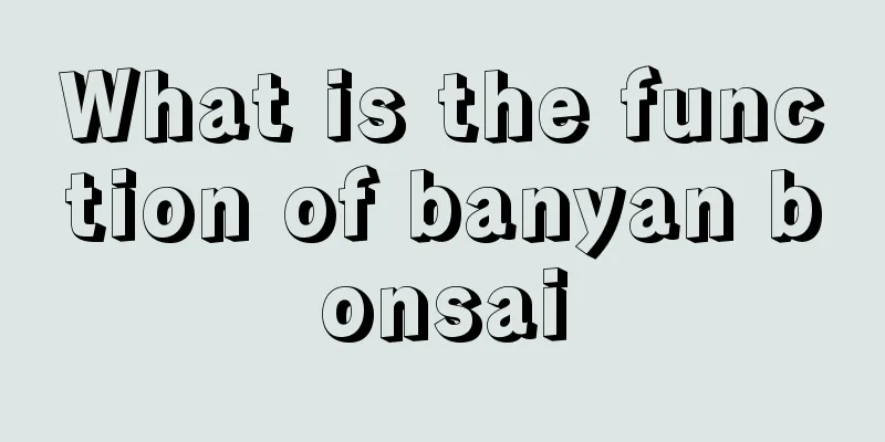 What is the function of banyan bonsai